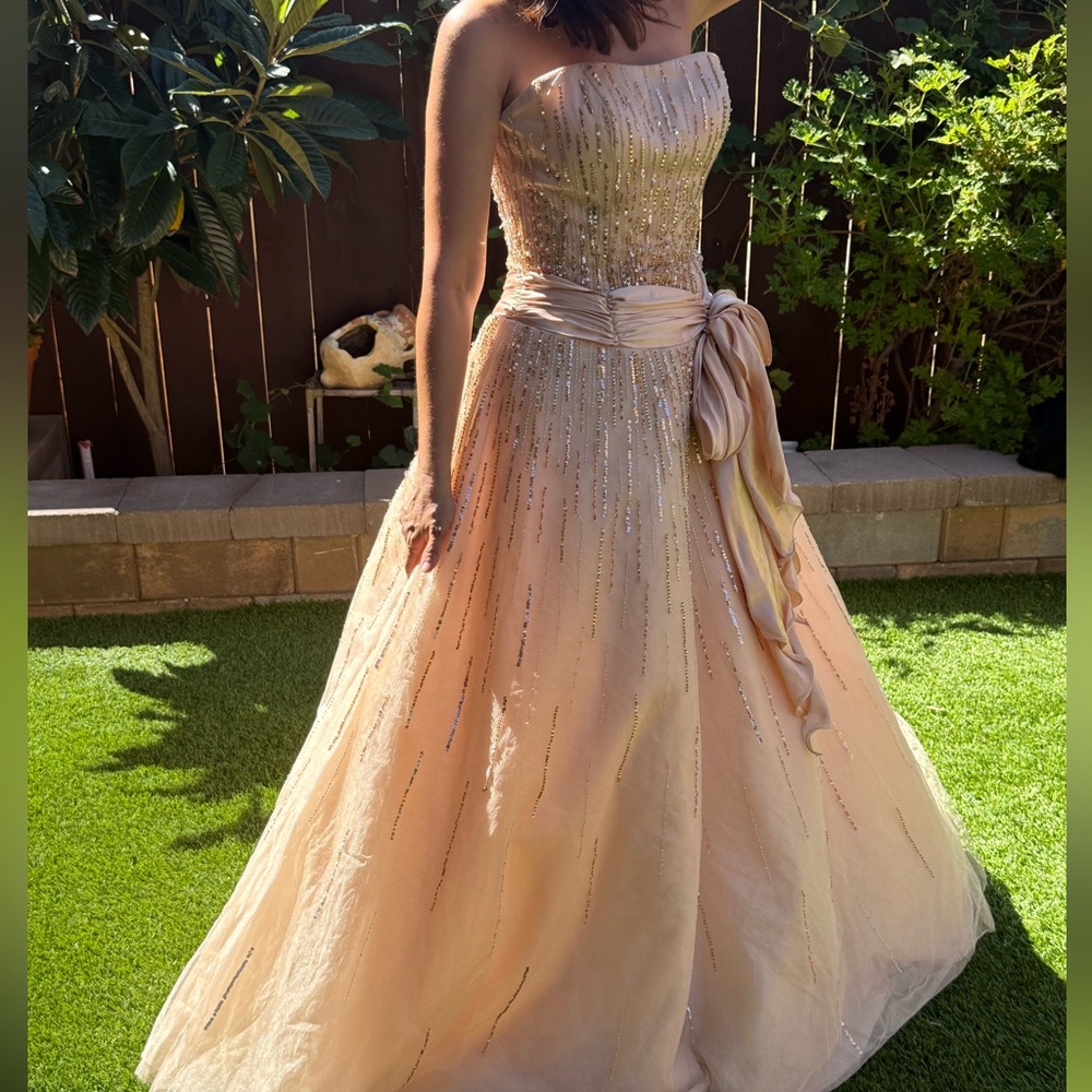 Elegant Evening Gown in Champagne